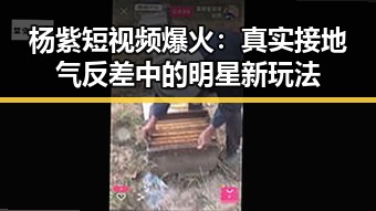 杨紫短视频爆火：真实接地气反差中的明星新玩法